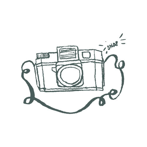 Holga Camera Art for Licensing