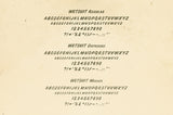 Hand Drawn Font Collection