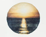 Original Emulsion Lift Art Fall Light