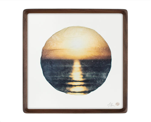 Original Emulsion Lift Art Fall Light