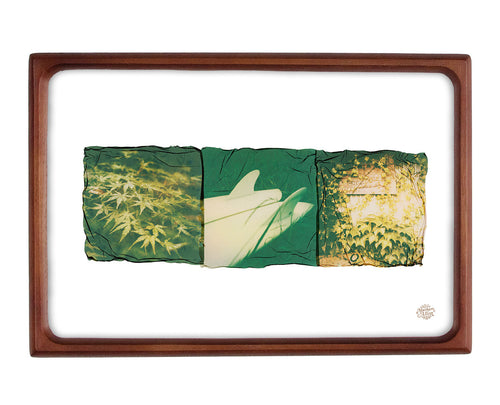 Emulsion Lift Print "Garden"