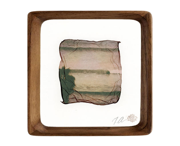 Original Emulsion Lift Art Lines