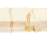 Original Emulsion Lift Art "Spirit"