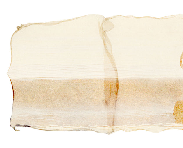 Original Emulsion Lift Art "Spirit"