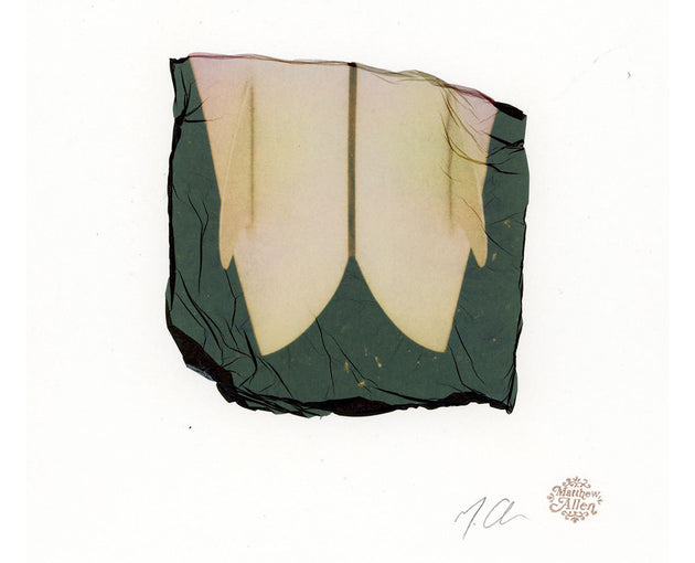 Original Emulsion Lift Art Twin