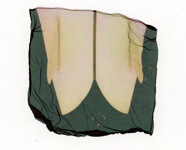 Original Emulsion Lift Art Twin