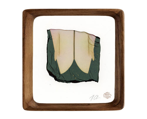 Original Emulsion Lift Art Twin