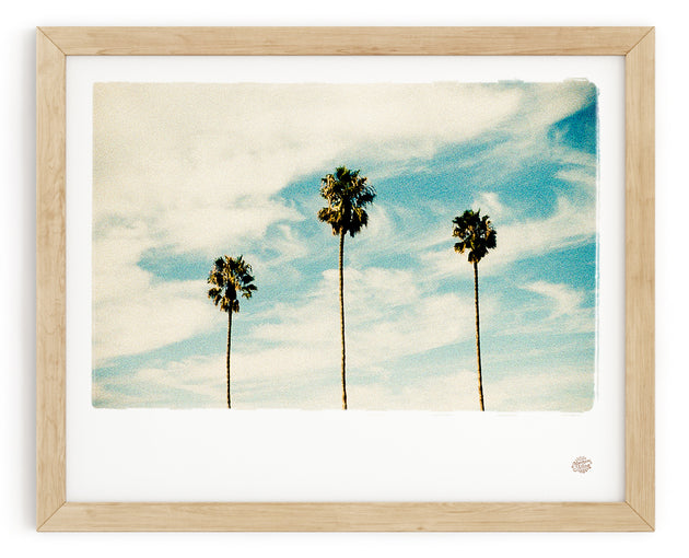 Palm Tree Photo Print "Las Palmas"
