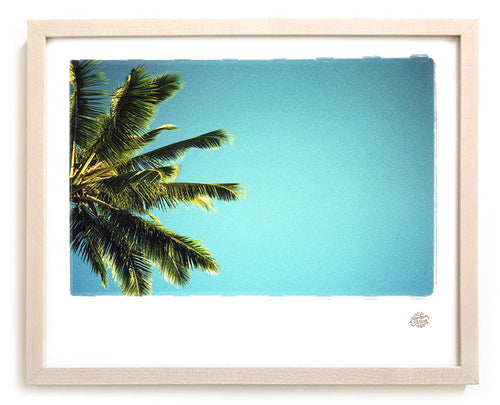Palm Tree Photo Print "Siesta"