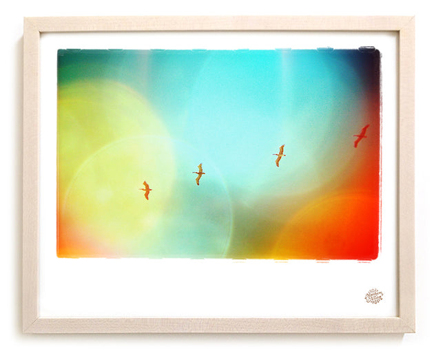 Surf Photo Print "Soar" - Borrowed Light Series