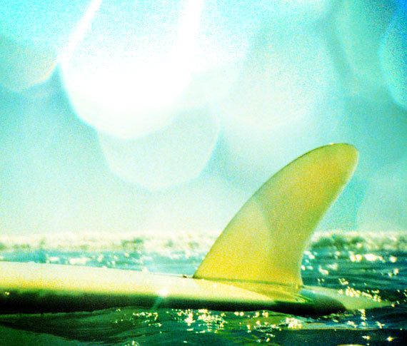 Surf Photo Print "The Shallows" - Borrowed Light Series